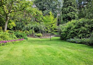 Optimiser l'expérience du jardin à Vaudemange